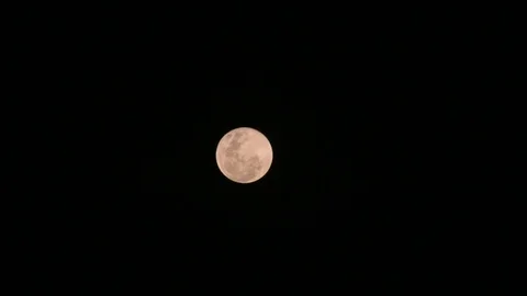 Full Moon Rising Orange Stock Footage 91982397