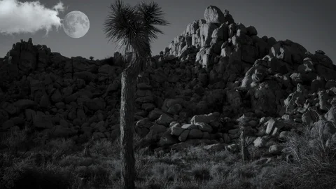 Full moon rising over desert landscape joshua tree nature ansel adams black a 動画素材 101357658