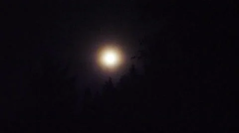 Full Moon Rising Over Forest Stock Footage 27825059