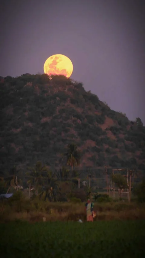 Full Moon Rising Over Hill – Cinematic Telephoto Shot Stock Footage 313294464