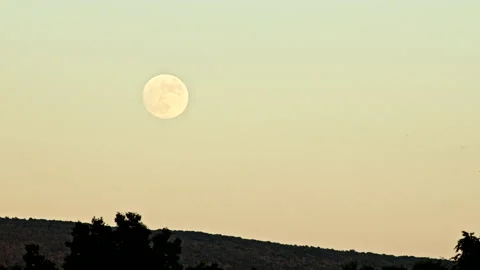 Full Moon Rising Over NEPA Video stock 162264143