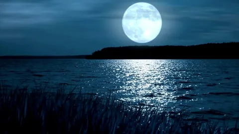 Full moon rising over a tranquil lake at night Stock Footage 336400153