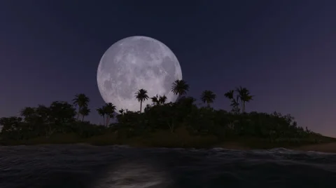 Full moon rising over the trees Stock Footage 44515270