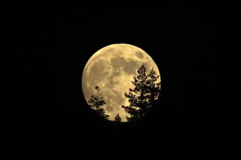 Full moon rising Stock Photos
