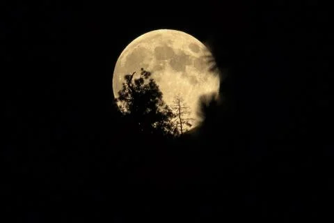 Full moon rising Stock Photos