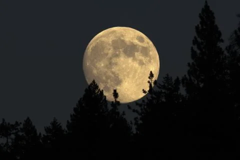Full moon rising Stock Photos