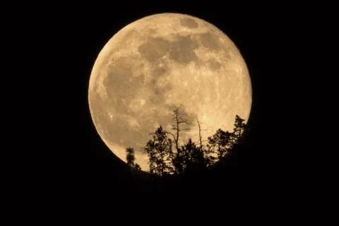 Full moon rising Stock Photos