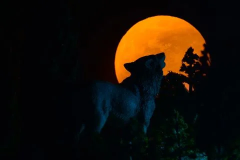 Full Moon Rising Foto stock