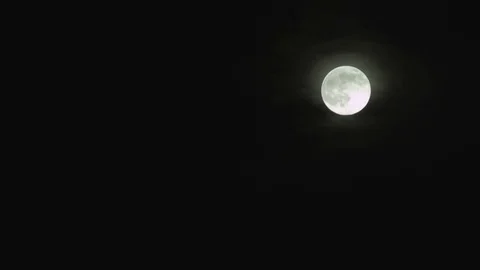 Full Moon Rising, Small Stock Footage 82220974