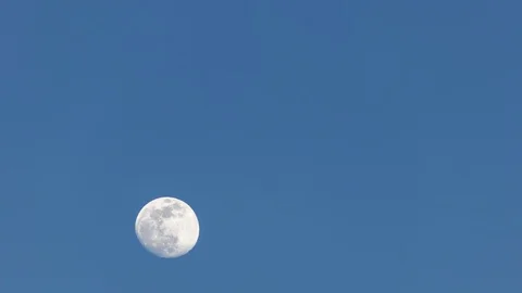 Full Moon Rising in spring Time Lapse 4K Stock Footage 104885108