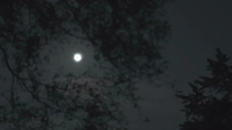 Full moon rising through the tree and clouds Stock Footage 33668003