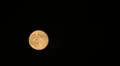 Full moon rising time-lapse HD Footage