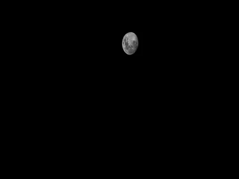 Full moon rising time lapse Stock Footage 78336083