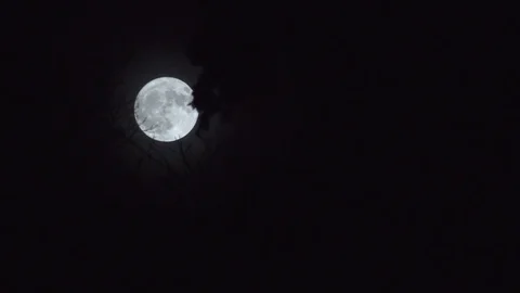 Full Moon Rising Time Lapse Video stock 81880507