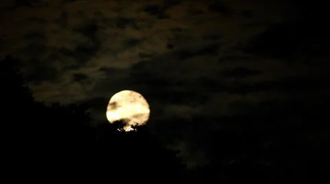 Full Moon Rising Timelapse. Stock Footage 25096022