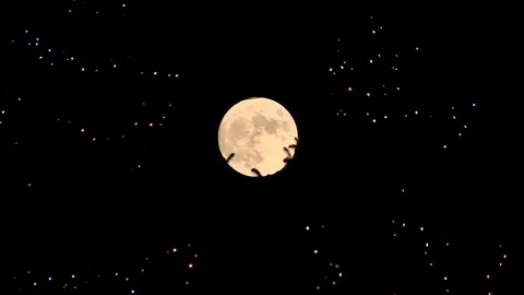 Full moon in Russian winter Stock-Footage 70606810
