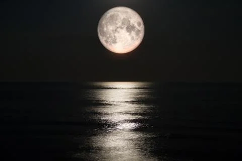 Full moon on sea Stock Illustration