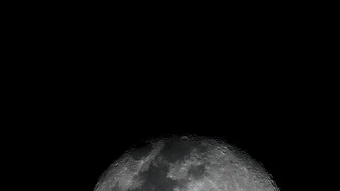 The full moon sees the traces of the oaks. 库存影片 88035922