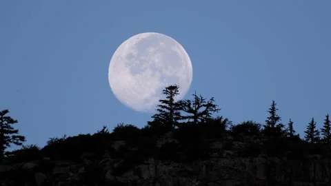 Full Moon Sets Behind Yosemite Conifer Ridge in Close Time Lapse Vídeos de archivo 320009873