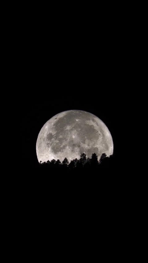 Full Moon Setting Behind Trees Vertical Timelapse Stock Footage 289786023