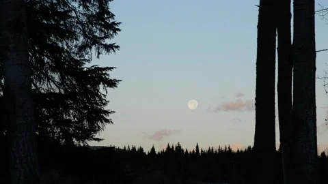 Full Moon Setting in the Morning Stock Footage 218405500