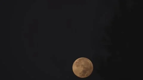 Full Moon Setting in a Night Sky Stock Footage 165523519