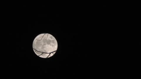 A Full Moon Shines Beyond the Barren Branches of a Tree Stock Footage 57635657