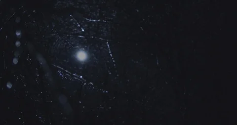 A full moon shines down through ice-covered trees Stock Footage 124545561