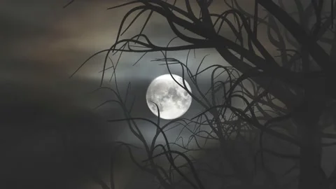 The full moon shines through black silhouettes of branches 3d 4k animation Stock Footage 196795467