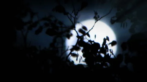 Full moon shining through the trees on Halloween in the woods Vídeo Stock 57362372