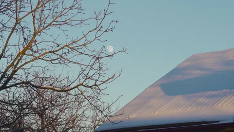 Full moon shining in winter Stock-Footage 300248007