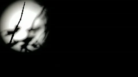 Full moon silhouette behind tree Stock-Footage 518400