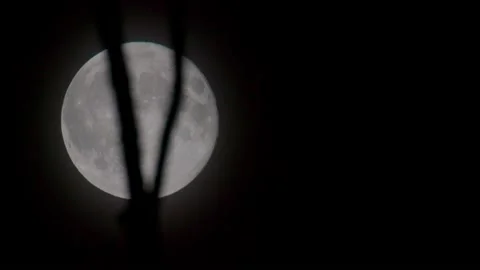 Full Moon - Silhouetted Movement Stock-Footage 154790997