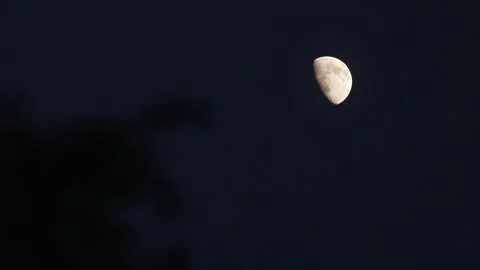Full moon in the sky Stock Footage 254423293