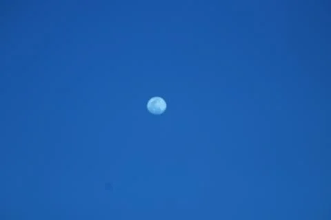 Full moon in the sky Stock Photos