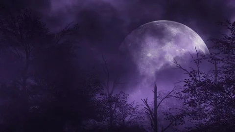 Full moon slowly rising above a haunted forest and dead trees Stock Footage