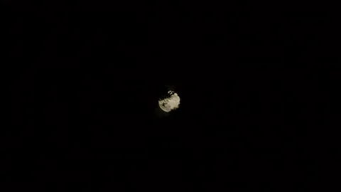 Full moon slowly rising behind some olive leaves in black night Video stock 134879127