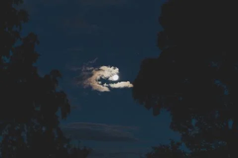 Full moon with small cloud next to it and sky framed by trees Stock Photos