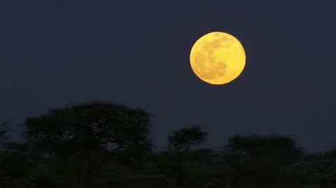 The full moon in Tanzania Stock Footage 12657960