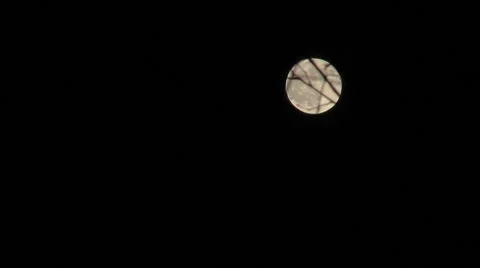 Full Moon Through Tree Branches Time Lapse Stock Footage 994835