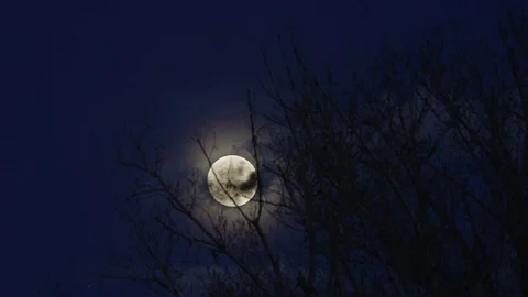 Full Moon Time Lapse Stock Footage 73901196