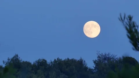 Full Moon Time Lapse Stock Footage 78997512