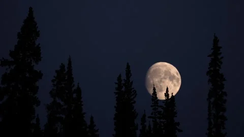 Full moon Time Lapse at Night Stock Footage 272480607
