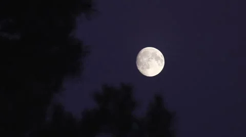 Full Moon Time lapse Through Trees HD 動画素材 67514836
