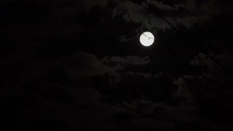 Full moon timelapse behind clouds at night outdoors closeup Stock Footage 159344562