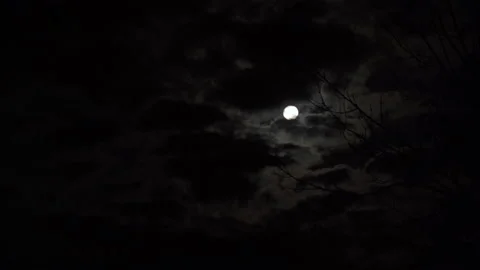 Full moon timelapse with clouds at night outdoors. Clouds move slow Stock Footage 159343165