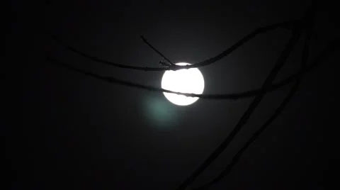 Full Moon Timelapse Stock-Footage 42369417