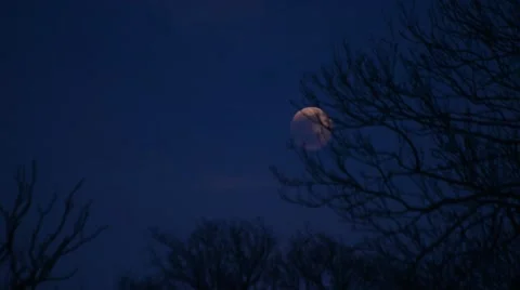 Full Moon, timelapse Vídeo Stock 45754467