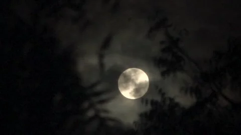 Full Moon Timelapse Moving Through Clouds at Night Gujarat India Video stock 341651330
