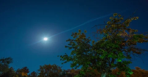 Full Moon Timelapse in Nature Stock Footage 75496956